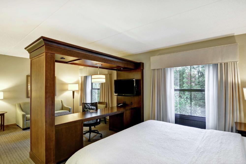 King Studio Suite with Sofa Bed - Non-Smoking