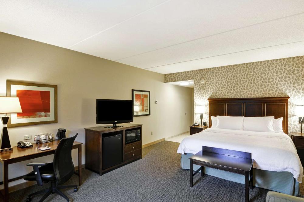 King Studio Suite with Sofa Bed - Non-Smoking